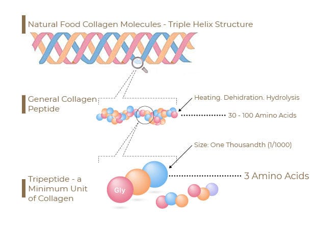 Tripeptide Collagen Starter Kit