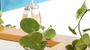 Choosing the right Divinity Foundation Colour